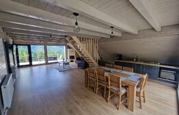 Casa de vacanta 5 camere, 150 mp utili, teren de 1000 mp, Exterior Vest 