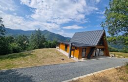 Casa de vacanta 5 camere, 150 mp utili, teren de 1000 mp, Exterior Vest 