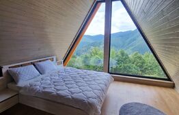 Casa de vacanta 5 camere, 150 mp utili, teren de 1000 mp, Exterior Vest 