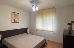 Casa individuala 4 camere, 120 mp, gradina, 2 parcari, zona Suceagu