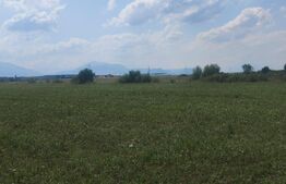 Teren 5h, zona Prejmer