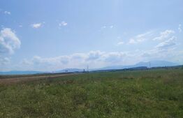 Teren 5h, zona Prejmer