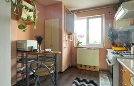 Apartament 4 camere, decomandate, 76 mp, etaj 4, Mănăștur