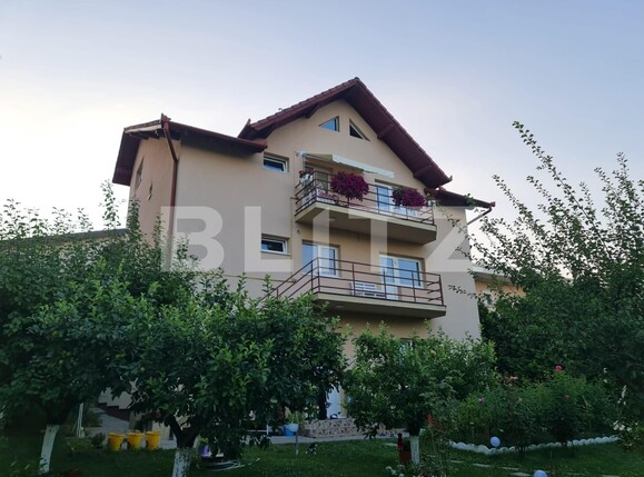 Casa de vânzare 9 camere Făget - 123469CV | BLITZ Cluj-Napoca | Poza1