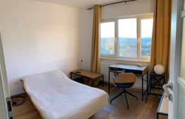 Apartament 3 camere, 65 mp, pet friendly, zona Constantin Brancusi