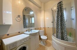 Apartament 1 camera, 38 mp, zona Brancusi