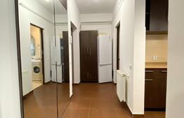 Apartament 1 camera, 38 mp, zona Brancusi