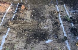 Teren intravilan, 625 mp cu autorizatie de constructie casa individuala, Sopor