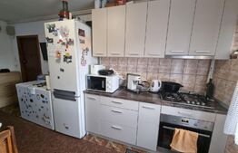 Oportunitate de investitie si locuinta! Apartament 4 camere, 76mp, zona Dunarii