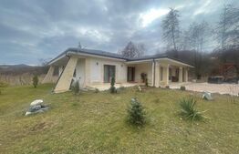 Casa pe un singur nivel, 3 camere, 170 mp, 2316 teren,  Stolna