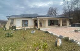 Casa pe un singur nivel, 3 camere, 170 mp, 2316 teren,  Stolna