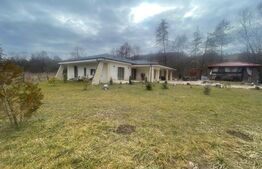 Casa pe un singur nivel, 3 camere, 170 mp, 2316 teren,  Stolna