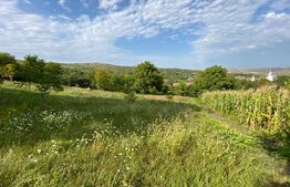 Teren intravilan 4200 mp, acces asflatat, sat Dumbrava