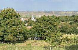 Teren intravilan 4200 mp, acces asflatat, sat Dumbrava