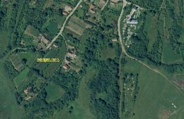 Teren intravilan 4200 mp, acces asflatat, sat Dumbrava