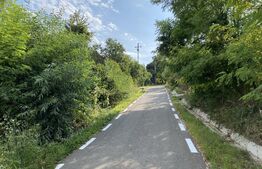 Teren intravilan 4200 mp, acces asflatat, sat Dumbrava