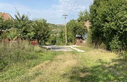 Teren intravilan 4200 mp, acces asflatat, sat Dumbrava