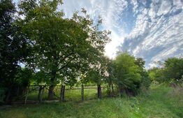 Teren intravilan 4200 mp, acces asflatat, sat Dumbrava