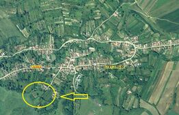 Teren intravilan 4200 mp, acces asflatat, sat Dumbrava