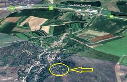 Teren intravilan 4200 mp, acces asflatat, sat Dumbrava