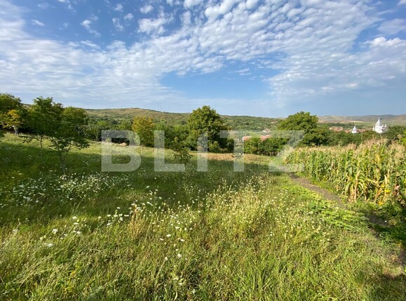 Teren de vânzare  - 123664TV | BLITZ Cluj-Napoca | Poza8