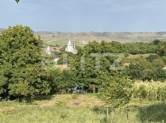 Teren de vânzare  - 123664TV | BLITZ Cluj-Napoca | Poza9