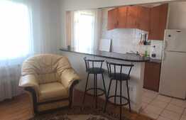 Apartament 2 camere, 40 mp, mobilat dragut, zona strazii Mehedinti