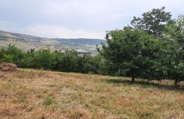 Teren intravilan 2000 mp Valea Chintaului 