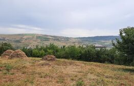 Teren intravilan 2000 mp Valea Chintaului 