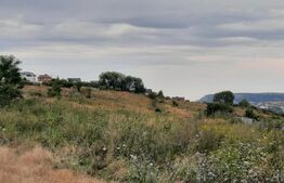 Teren extravilan 450 mp  Valea Chintaului