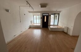 Casa cu 13 camere, 500 mp, zona Bartolomeu