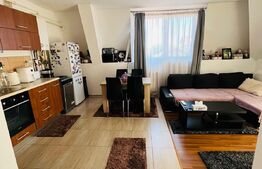 Apartament 2 camere, 53 mp, zona Muzeul Apei