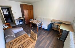 Apartament cu 2 camere, decomandat, zona strazii Aleea Micus 