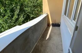 Apartament cu 2 camere, decomandat, zona strazii Aleea Micus 