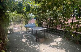 Casa individuala intr-o zona de case, 200mp, zona Pod Ira