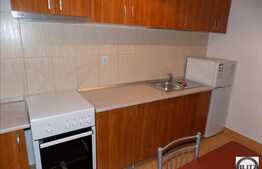 1 camera, 40 mp, totul nou, la prima inchiriere, complex Platinia!