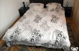 2 camere, 50 mp, mobilat si utilat, zona strazii Plopilor