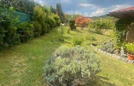 Comision 0% Duplex 84 mp, Gilau Vest 