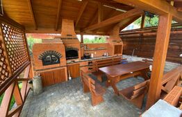 Casa individuala la cheie, finisaje premium, Dambu Rotund 