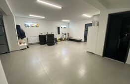 Casa individuala la cheie, finisaje premium, Dambu Rotund 