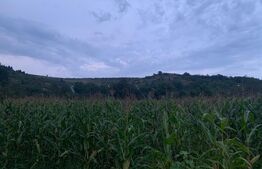 Teren intravilan 2200 mp, Vlaha