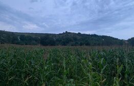 Teren intravilan 2200 mp, Vlaha