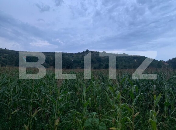 Teren de vânzare Exterior Vest - 124029TV | BLITZ Cluj-Napoca | Poza2