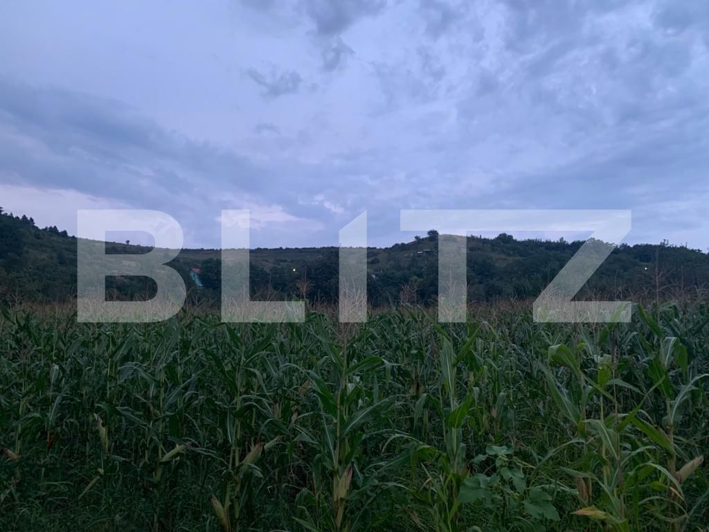 Teren de vânzare Exterior Vest - 124029TV | BLITZ Cluj-Napoca | Poza3