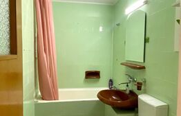 Apartament de 3 camere, 70mp, pet friendly, cartierul Grigorescu