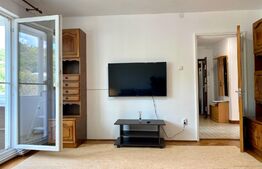 Apartament de 3 camere, 70mp, pet friendly, cartierul Grigorescu