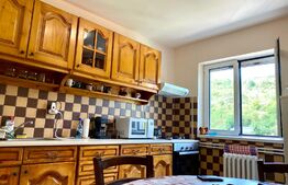 Apartament de 3 camere, 70mp, pet friendly, cartierul Grigorescu