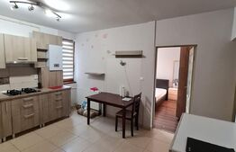 Apartament in vila, 2 camere, gradina de 80 mp, parcare, preluare de chiriasi, zona Dumitru Mocanu