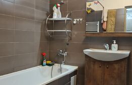 Apartament in vila, 2 camere, gradina de 80 mp, parcare, preluare de chiriasi, zona Dumitru Mocanu