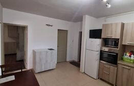 Apartament in vila, 2 camere, gradina de 80 mp, parcare, preluare de chiriasi, zona Dumitru Mocanu